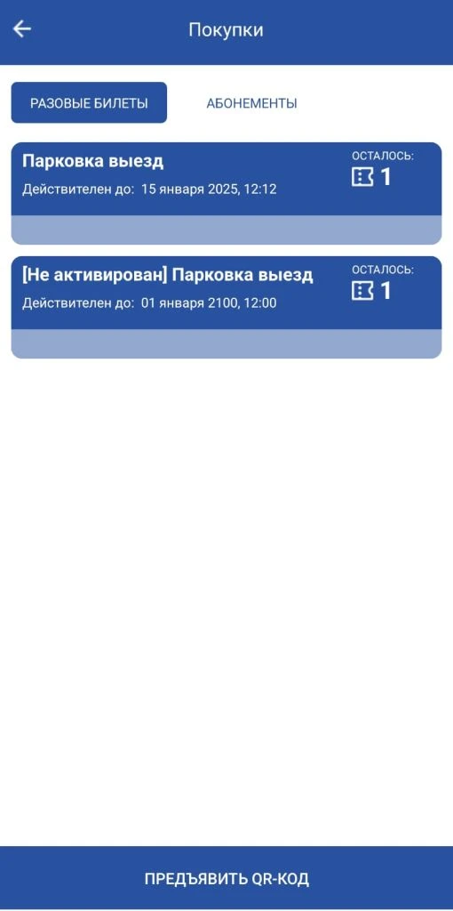 Изображение WhatsApp 2024-12-15 в 12.25.27_722f4bb4.jpg